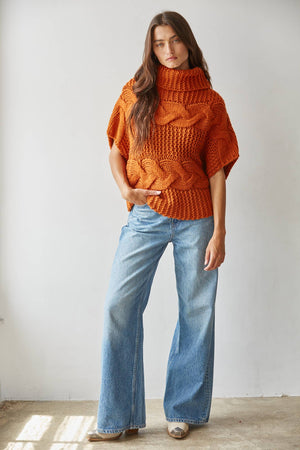 Cable Knit Turtle Neck -By Together - W2579