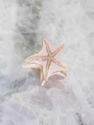 Starfish small hair Clip-Haven