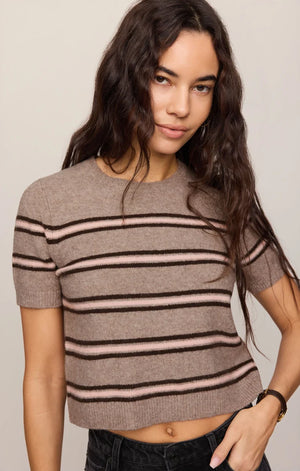 Gatewood stripe sweater-Zsupply Zw263305