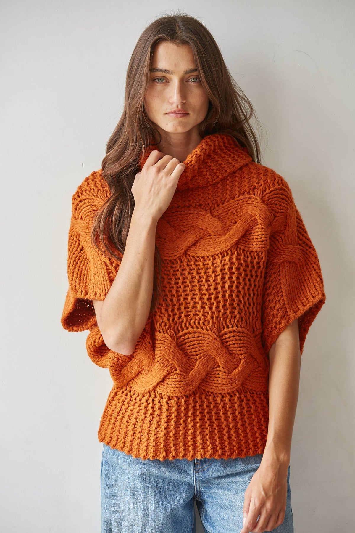 Cable Knit Turtle Neck -By Together - W2579
